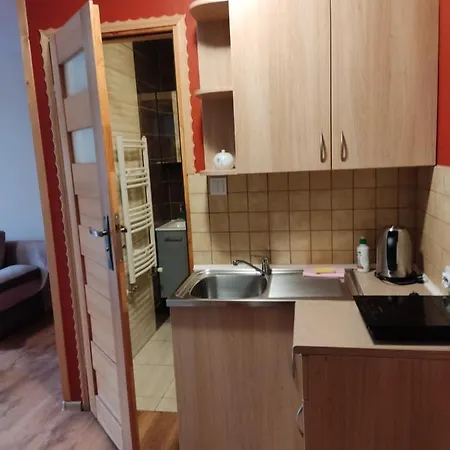 Pokoje I Apartamenty U Bartka Щавниця Екстер'єр фото